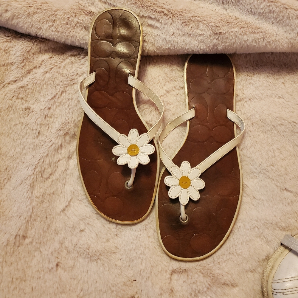 Coach Daisy Sandals size 7